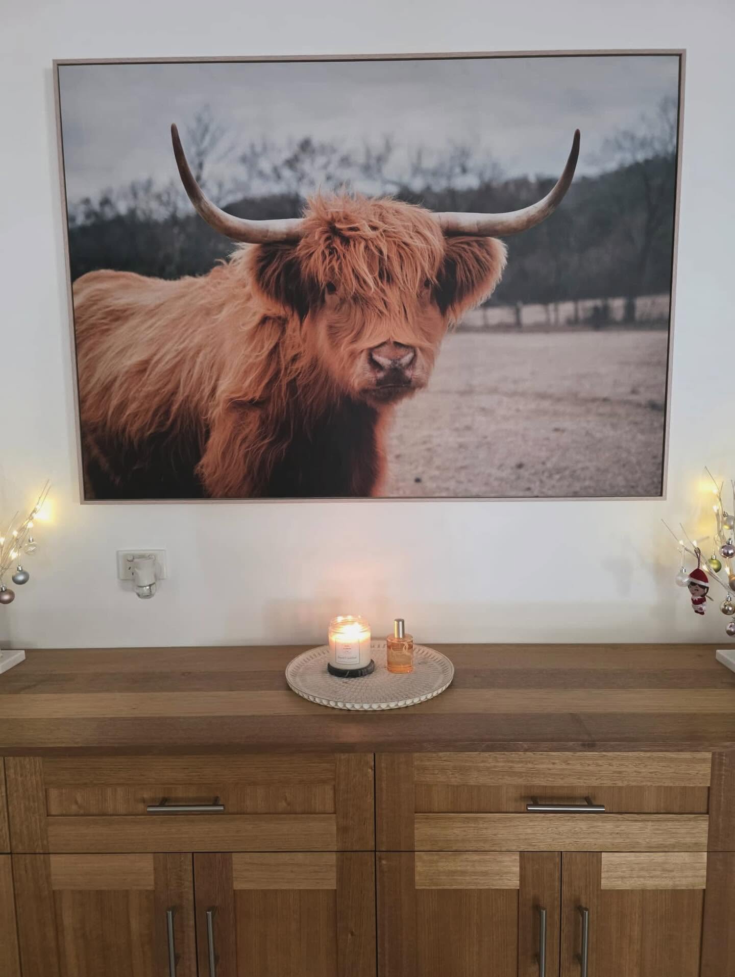 Our products in your homes