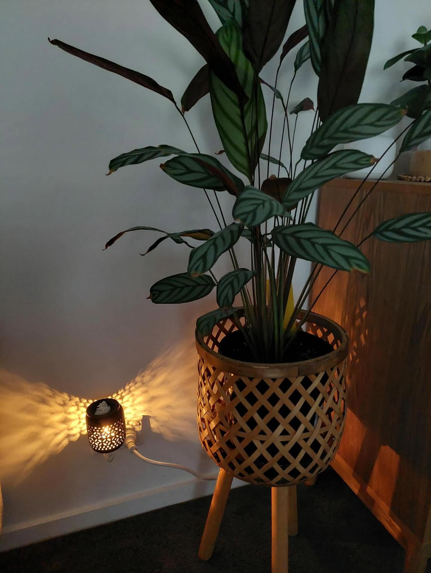 Our products in your homes